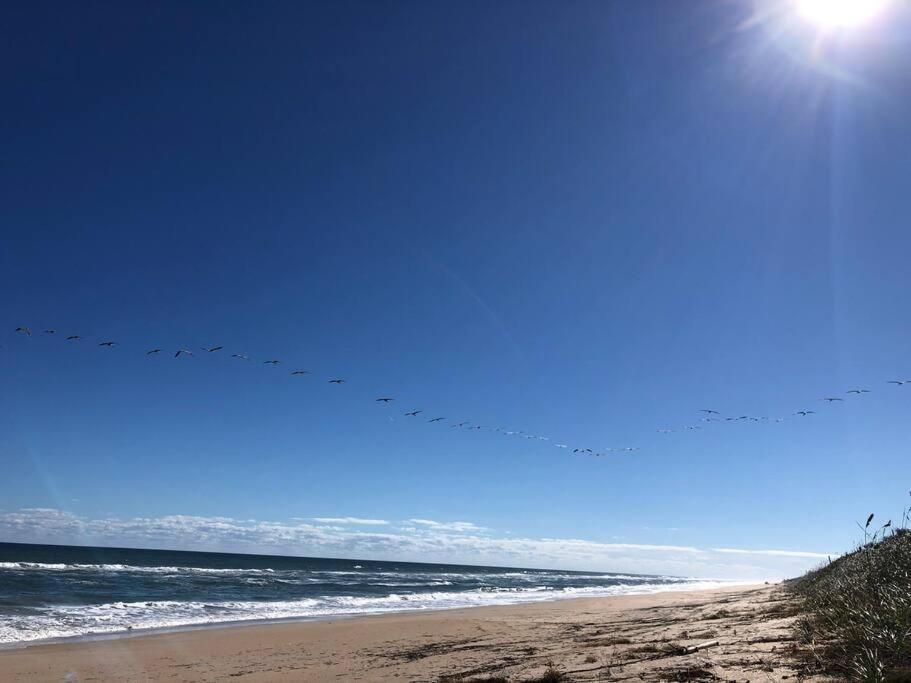 Zen Beach Retreat - Ocean View Townhouse -No Drive Beach New Smyrna Beach Exterior foto